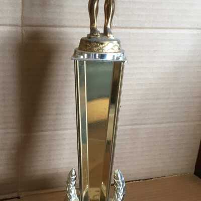 Swimming Trophy