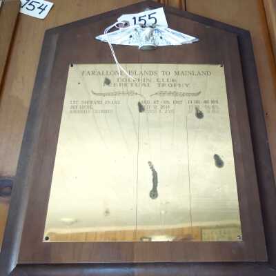 Swmming Plaque