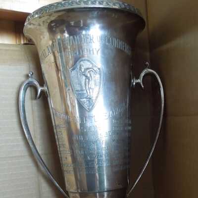 Swimming Trophy