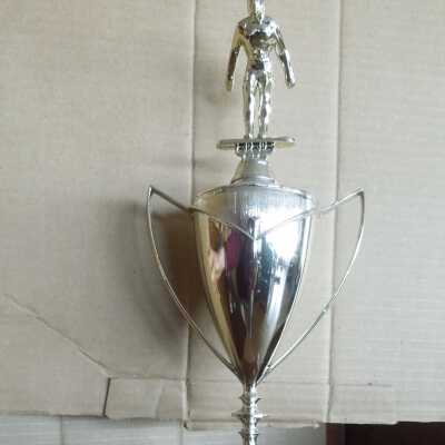 Swimming Trophy
