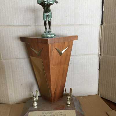 Swimming Trophy