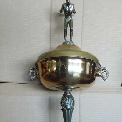 Swimming Trophy
