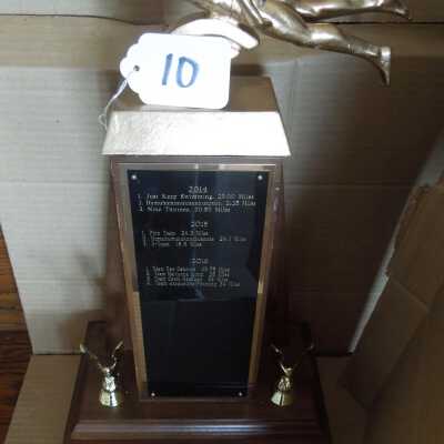Swimming Trophy