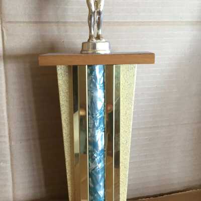 Swimming Trophy