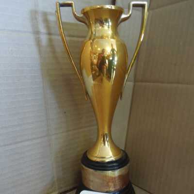 Swimming Trophy