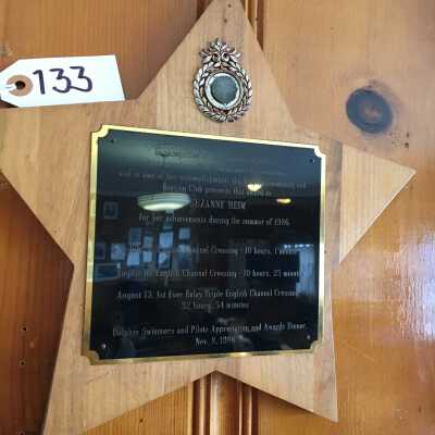 Swimming Plaque