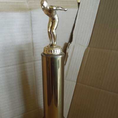 Swimming Trophy