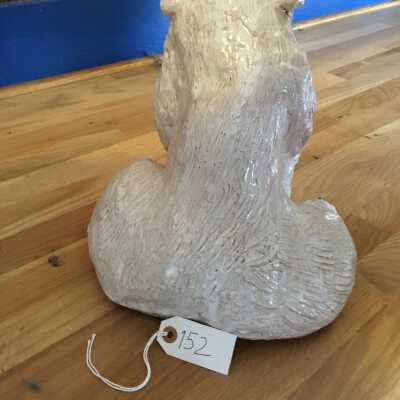 polar bear from rear