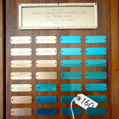 Swimming Plaque