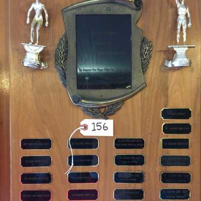 Swimming Plaque