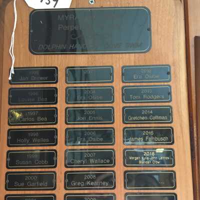 Swimming Plaque