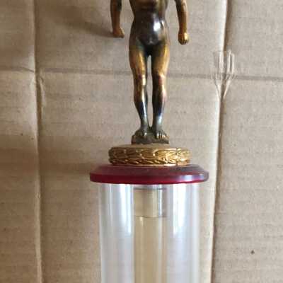 Swimming Trophy