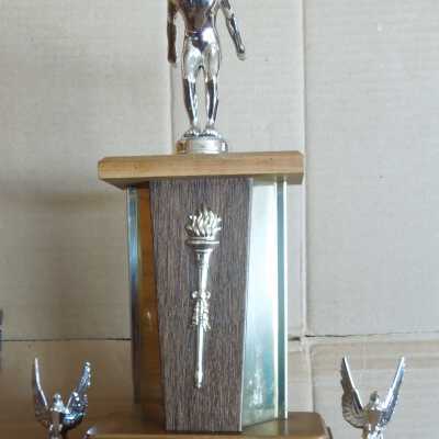 Swimming Trophy