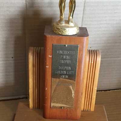 Swimming Trophy