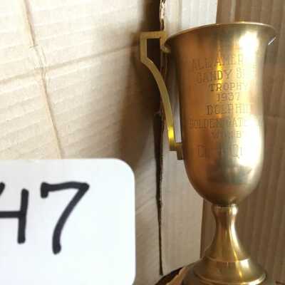 Swimming Trophy