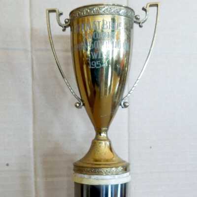 Swimming Trophy