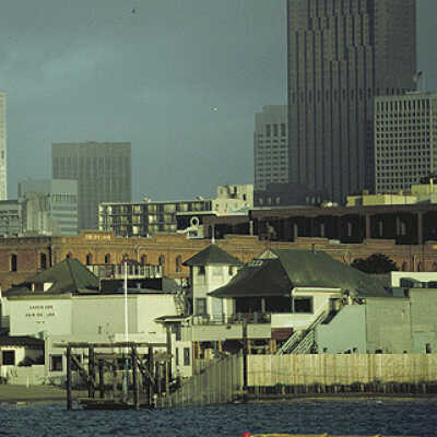 Dolphin Club Circa 1985