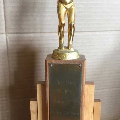 Swimming Trophy