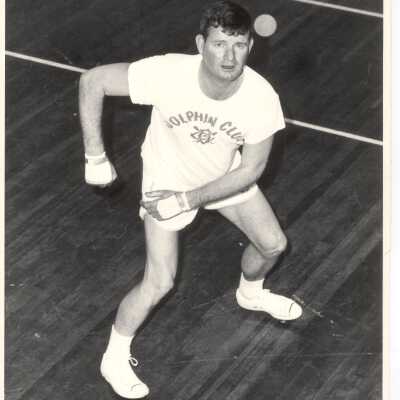 Dolphin Handball Player
