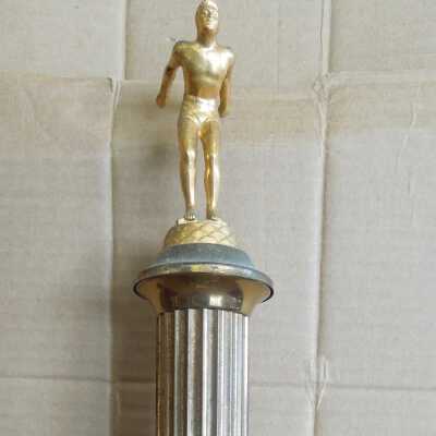 Swimming Trophy