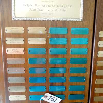 Swimming Plaque