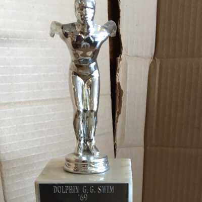 Swimming Trophy