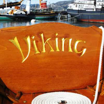 1900 VIKING