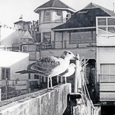The Boathouse circa 1950