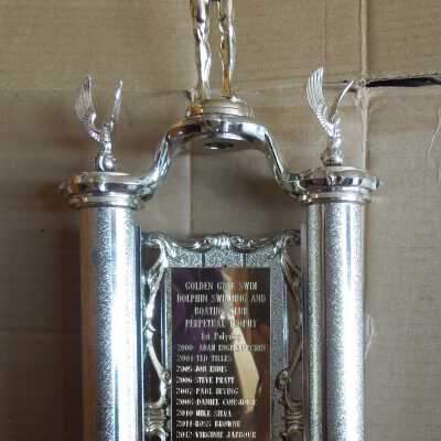 Swimming Trophy