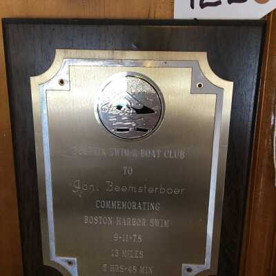 Swimming Plaque