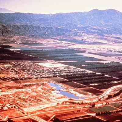 Irvine Ranch 270