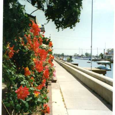 Balboa Island, California