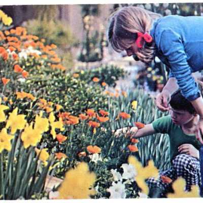 Roger's Gardens