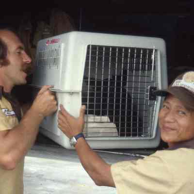 Air Cal 382