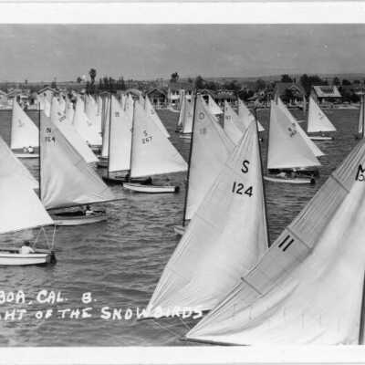 Balboa, Cal. 8. Flight of the Snowbirds.