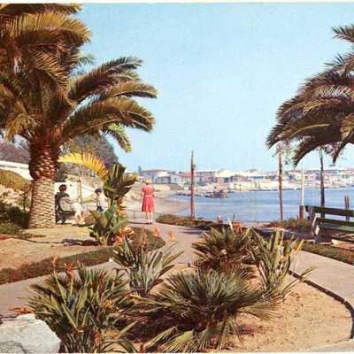 Lido Isle Park, Newport Harbor, California