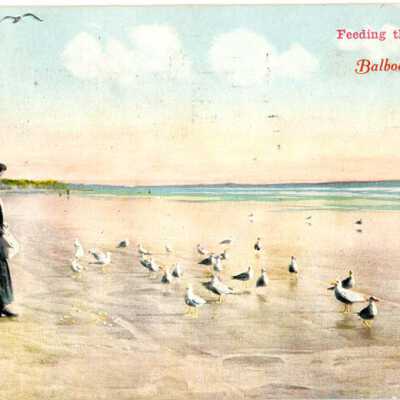 Feeding the Sea Gulls, Balboa California