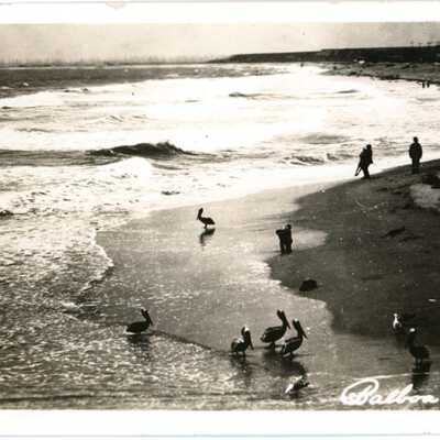 Balboa Calif. 12