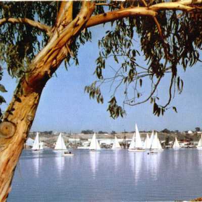 Newport Bay