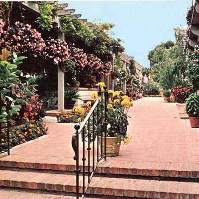 Begonia 'Richmondensis' baskets bordering Garden Walk