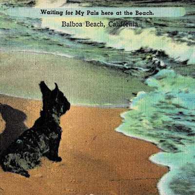 Waiting for my Pals here at the Beach. Balboa Beach, California.