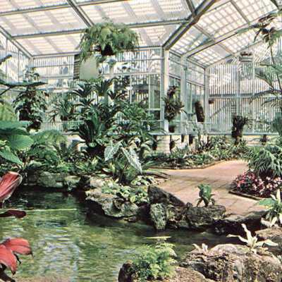 tropical conservatory koi pool