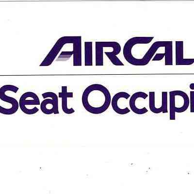 Air Cal Seat Occupied Sign