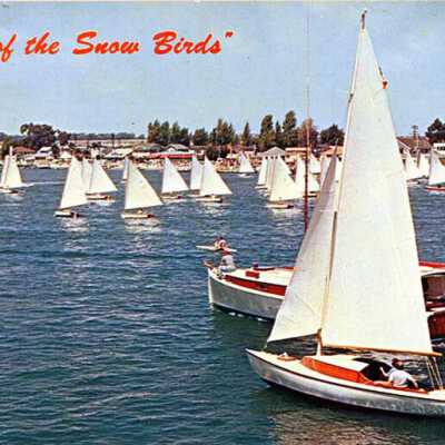 "Flight of the Snowbirds"