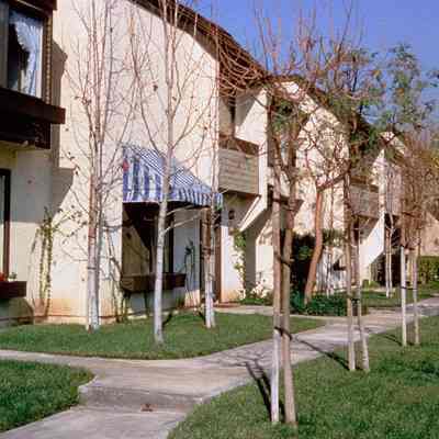 Irvine Ranch 319