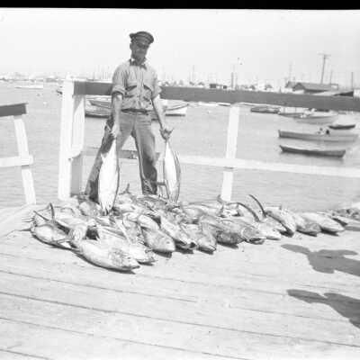 First Albacore Catch, 1935