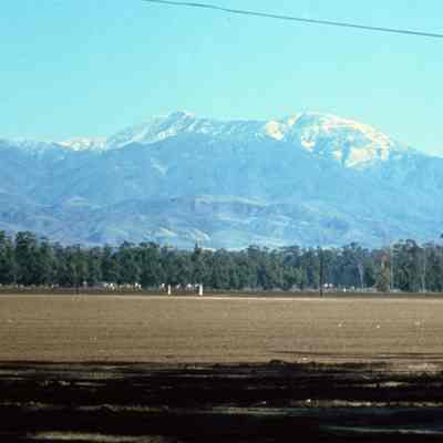 Irvine Ranch 261