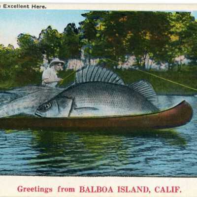 "The Fishing is Excellent Here Greetings from Balboa Island, Calif"