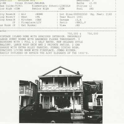 Real Estate Flyer for 222 Apolena Avenue