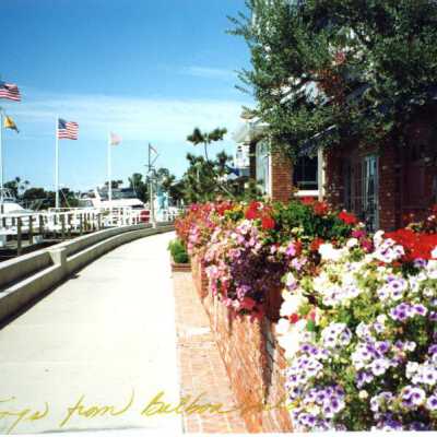 Greetings from Balboa Island